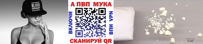 OMG как войти  Любим  Alpha-PVP СК 
