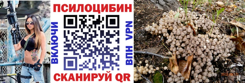 нарко площадка как зайти  Любим  Псилоцибиновые грибы Psilocybine cubensis 